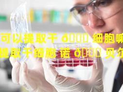 尿可以提取干 💐 细胞嘛（尿液提取干细胞 诺 🍁 贝尔奖）